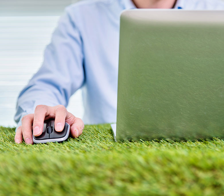 About-Sustainable Grass Image
