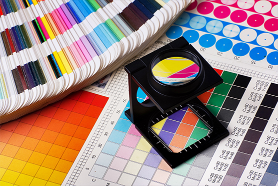 Pantone Book and Loop